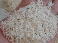 برنج فجر اعلا مازندران در شیپور-عکس کوچک