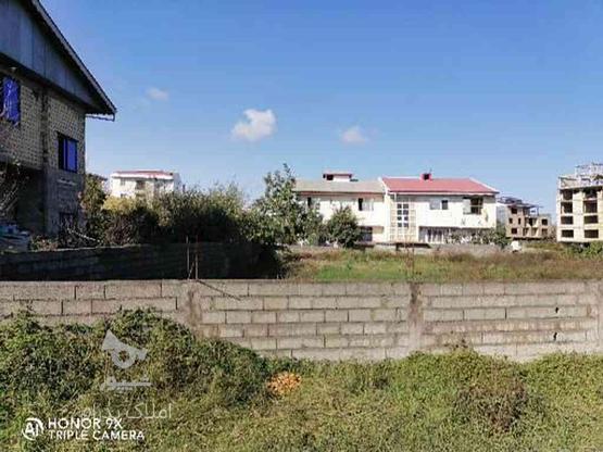 290 متر زمین مسکونی محصور شده رضوانشهر در گروه خرید و فروش املاک در گیلان در شیپور-عکس1