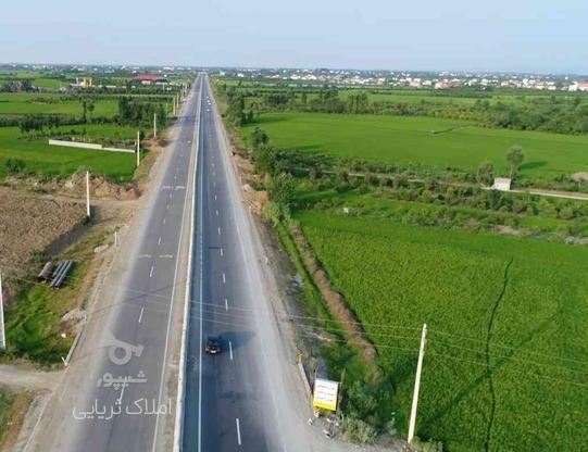 فروش یا معاوضه زمین سنددار 23000 متر جاده آمل در گروه خرید و فروش املاک در مازندران در شیپور-عکس1