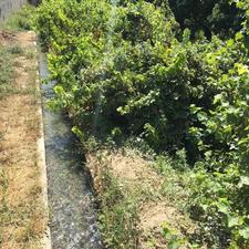 باغچه سند دار 300 متر در شهریار