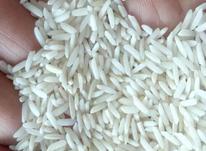 برنج طارم فریدون کنار درجه یک در شیپور-عکس کوچک