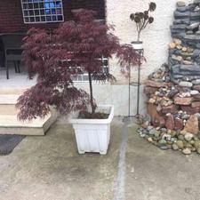 فروش ویلا 565 متر در محمد حسین آباد