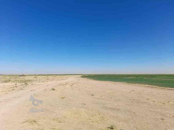 فروش زمین 3260 هکتار در کردان در گروه خرید و فروش املاک در البرز در شیپور-عکس1