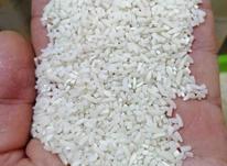 آمل برنج لاشه طارم و طارم 20 کیلو قیمت عالی در شیپور-عکس کوچک