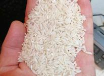 آمل برنج طارم خوب پارساله در شیپور-عکس کوچک