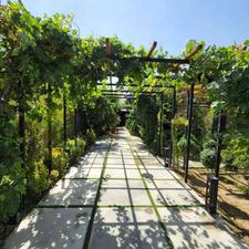 ویلا در تهراندشت 350 متر درکردان تهراندشت