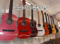 گیتار کلاسیک با برندهای مطرح دنیا در شیپور-عکس کوچک