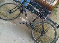 دوچرخه سالم در شیپور-عکس کوچک