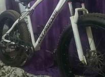 دوچرخه جگوار لاستیک پهن در شیپور-عکس کوچک