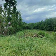 زمین 5,000 متری ساحلی رودسر