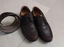 کفش و کمربند مردانه قهوه ای سایز 41 در شیپور-عکس کوچک