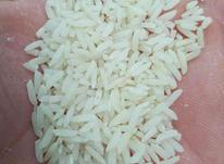 برنج طارم هاشمی درجه یک در شیپور-عکس کوچک