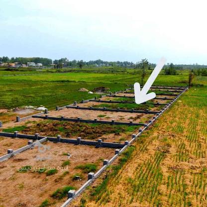 زمین سرمایه گذاری با سود بینظیر در اینده نزدیک 204متر در گروه خرید و فروش املاک در گیلان در شیپور-عکس1