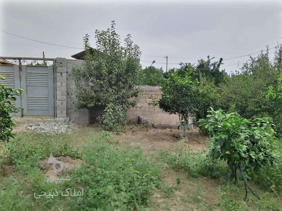 زمین مسکونی510 متری روستادوک(امتیازآب،برق) در گروه خرید و فروش املاک در مازندران در شیپور-عکس1