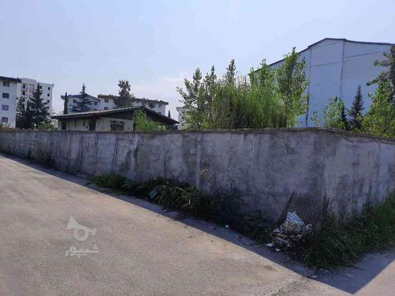 فروش زمین مسکونی 586 متر در بلوار کریمی در گروه خرید و فروش املاک در مازندران در شیپور-عکس1