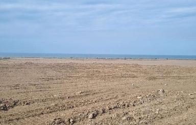 زمین مسکونی 152 متر در جویبار