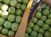 فروش سیب ممتاز در شیپور-عکس کوچک