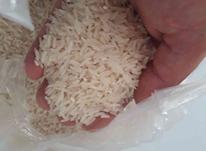 برنج طارم روشن در شیپور-عکس کوچک