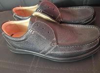کفش چرم البرز سایز 45 در شیپور-عکس کوچک