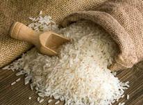 برنج طارم هاشمی اعلاء در شیپور-عکس کوچک