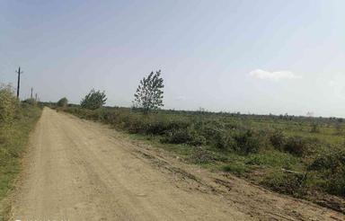 فروش زمین کشاورزی 14000 متر در کپورچال