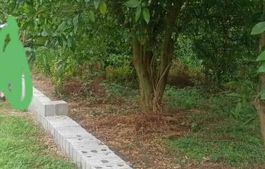 زمین مسکونی 380 متر در منطقه(سیاهکلرود) چابکسر