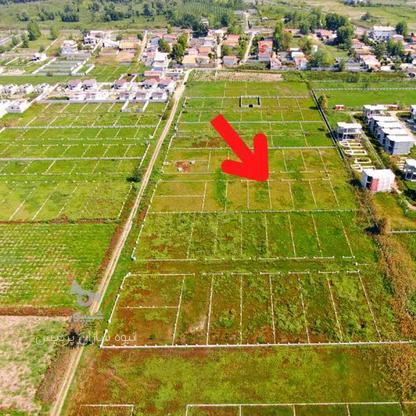 فروش زمین مسکونی 236 متر در چاف و چمخاله در گروه خرید و فروش املاک در گیلان در شیپور-عکس1