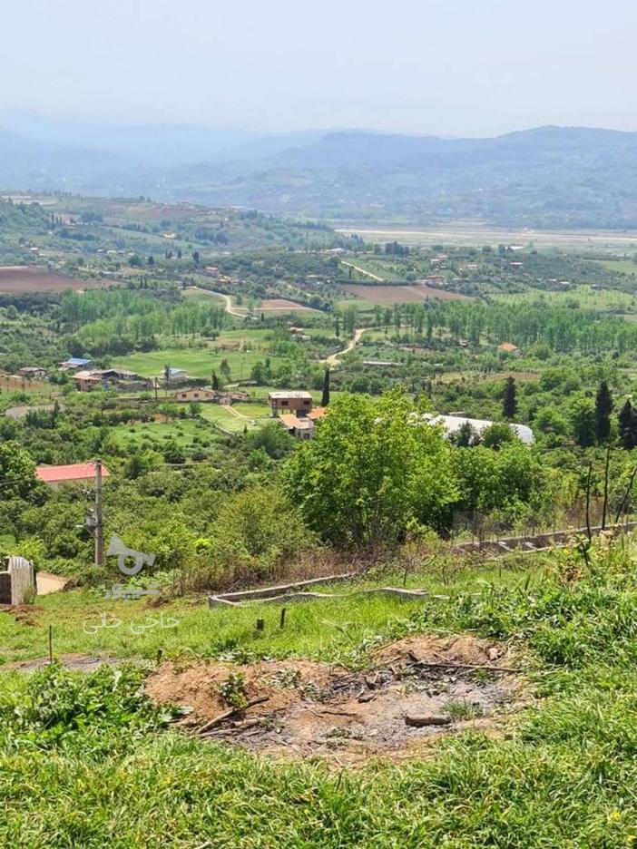 زمین ویلای کوهستانی 250 متر پایین کولا معاوضه با خودرو در گروه خرید و فروش املاک در مازندران در شیپور-عکس1