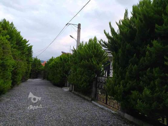 فروش زمین مسکونی 450 متر در حسن کلایه در گروه خرید و فروش املاک در مازندران در شیپور-عکس1