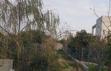 زمین 232 متری بلوار شمشیربند