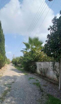 فروش زمین مسکونی 380 متر روستا معصوم اباد در گروه خرید و فروش املاک در مازندران در شیپور-عکس1