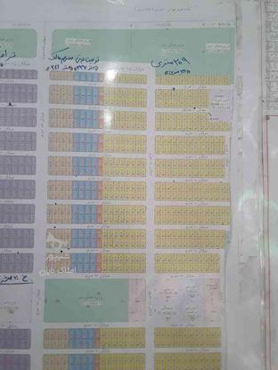 فروش زمین مسکونی 209 متر در نظرآباد در گروه خرید و فروش املاک در البرز در شیپور-عکس1