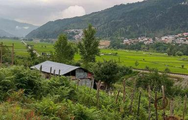 فروش زمین مسکونی 250 متر در کرداباد, زیرآب