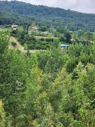 زمین منطقه کوهستانی شهری 370 متر وارد محله در گروه خرید و فروش املاک در مازندران در شیپور-عکس1