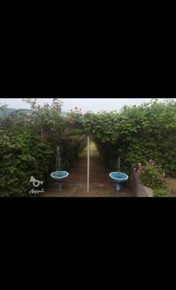 2600 متر زمین باغ با ویلا - سرمایه گذاری در گروه خرید و فروش املاک در مازندران در شیپور-عکس1