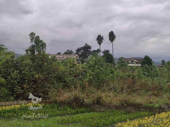 زمین 250 متر در خرم آباد میان ناحیه در گروه خرید و فروش املاک در مازندران در شیپور-عکس1