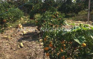 فروش باغ 250 متری در عزیزک