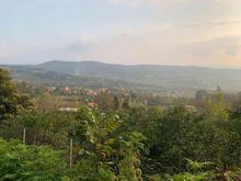 زمین جنگلی الحاق بافت 500 متری در واردمحله در شیپور