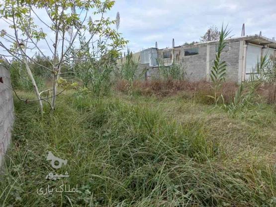 زمین مسکونی 370 متر در کوچصفهان در گروه خرید و فروش املاک در گیلان در شیپور-عکس1