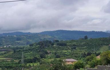 444متر براصلی دید رویایی بر اصلی پارک جنگلی جاده نظامی