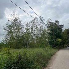 زمین 200 متر با ویوو ابدی در جاده کیسم