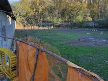 فروش دامداری و کشاورزی 6000 متر در تشبندان در شیپور