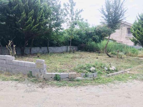 250 متر زمین مسکونی دوبر سند تکبرگ رامسر نیاسته در گروه خرید و فروش املاک در مازندران در شیپور-عکس1