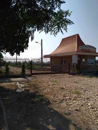 فروش زمین مسکونی 250 متر در چپکرود در گروه خرید و فروش املاک در مازندران در شیپور-عکس1