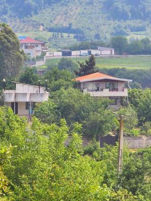 فروش زمین مسکونی 400 متر در تنگ لته در گروه خرید و فروش املاک در مازندران در شیپور-عکس1