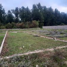 فروش زمین مسکونی 230 متر در سعادت آباد