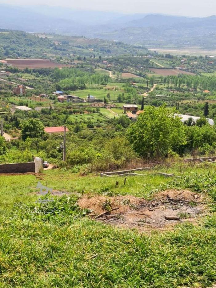 زمین شهری کوهستانی 250 متری وارد محله در گروه خرید و فروش املاک در مازندران در شیپور-عکس1