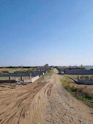 زمین مسکونی 250 متر با مجوز ساخت در گروه خرید و فروش املاک در مازندران در شیپور-عکس1