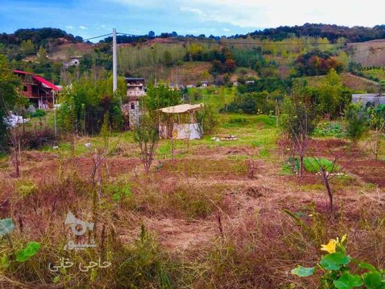 فروش زمین کشاورزی 250 متر در تنگ لته در گروه خرید و فروش املاک در مازندران در شیپور-عکس1