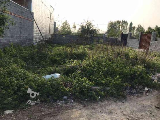 فروش زمین مسکونی 210 متر در شریفی در گروه خرید و فروش املاک در مازندران در شیپور-عکس1